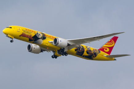 Hainan Airlines unveils third Kung Fu Panda-themed plane
