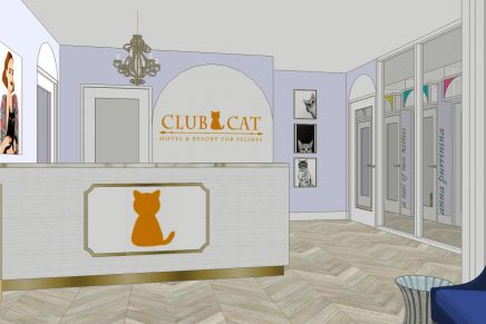 Orange County to welcome first luxury cat-only hotel in Irvine